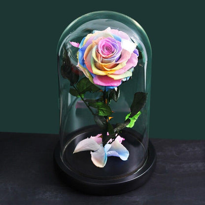 Eternal Roses Under Bell (Prenium) - Eternal Rose Store