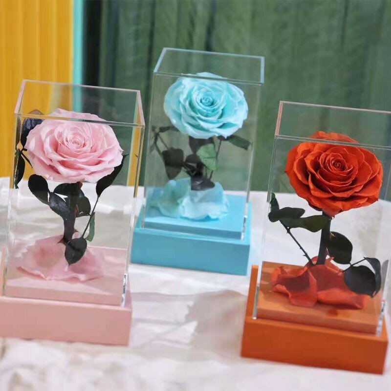 Eternal Rose Luxury Collection (Choice of Style)