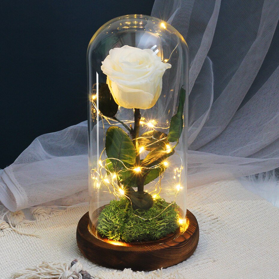 Eternal Rose Under Lighted Bell (Choice of Color) - Eternal Rose Store