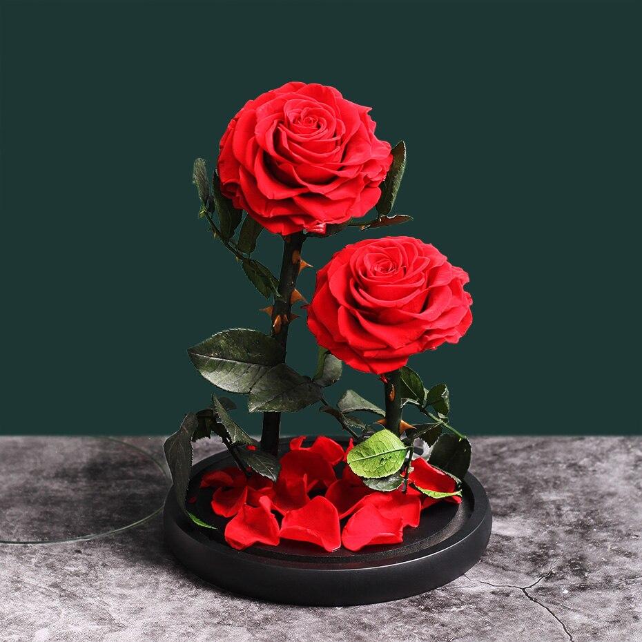 Eternal Roses Under Bell (Prenium) - Eternal Rose Store
