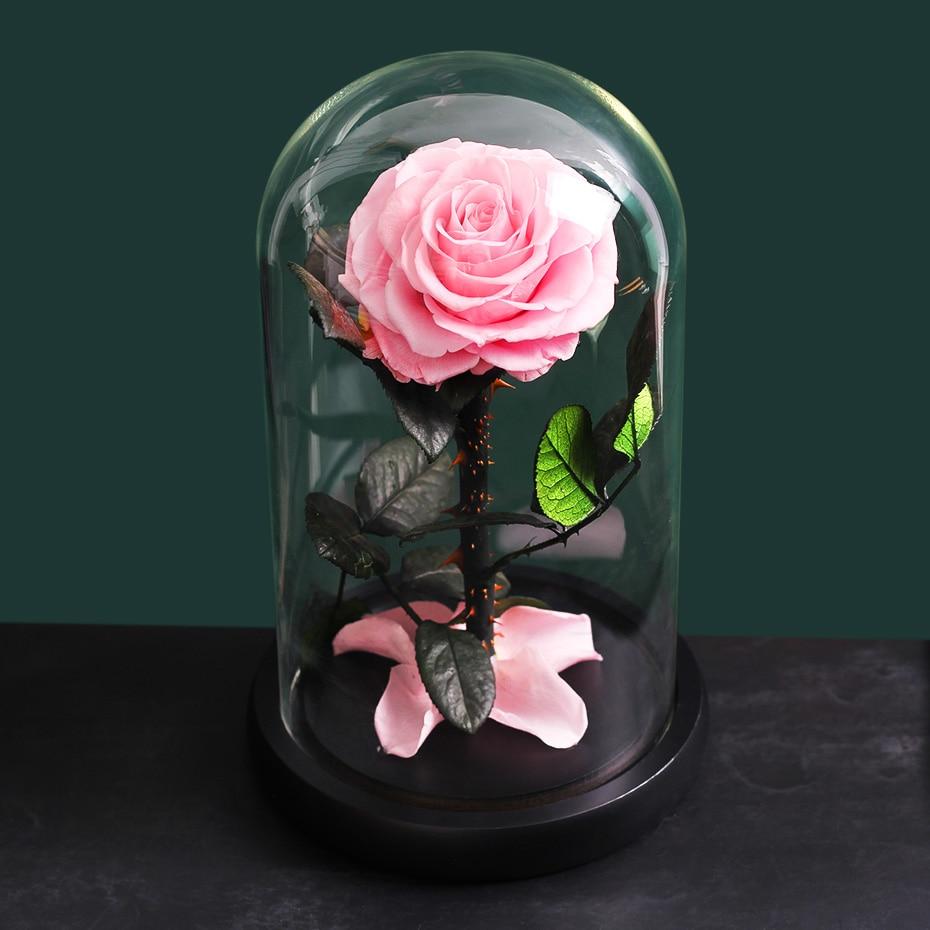 Eternal Roses Under Bell (Prenium) - Eternal Rose Store
