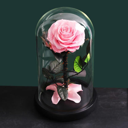 Eternal Roses Under Bell (Prenium) - Eternal Rose Store