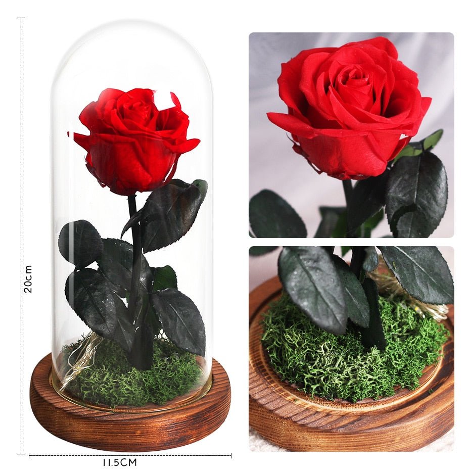 Eternal Rose Under Lighted Bell (Choice of Color) - Eternal Rose Store