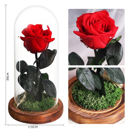 Eternal Rose Under Lighted Bell (Choice of Color) - Eternal Rose Store