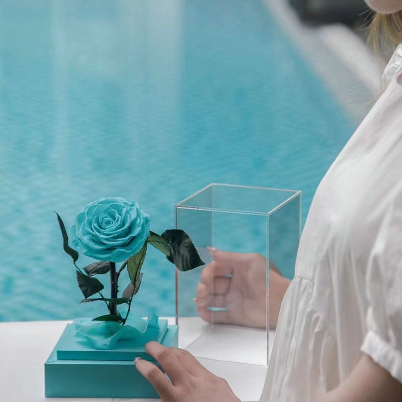Eternal Rose Luxury Collection (Choice of Style)