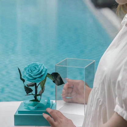 Eternal Rose Luxury Collection (Choice of Style)
