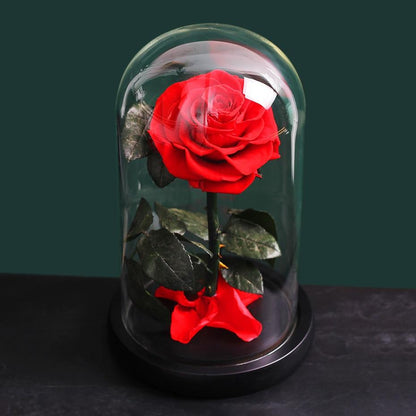 Eternal Roses Under Bell (Prenium) - Eternal Rose Store