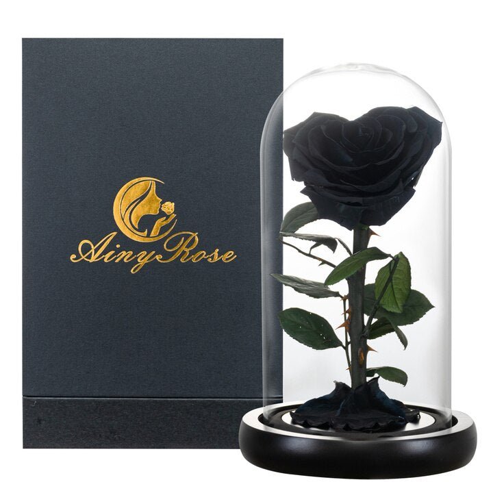 Eternal Rose Luxury Collection (Choice of Style)