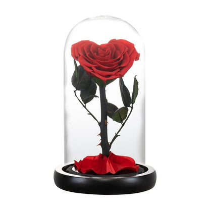Eternal Rose Luxury Collection (Choice of Style)