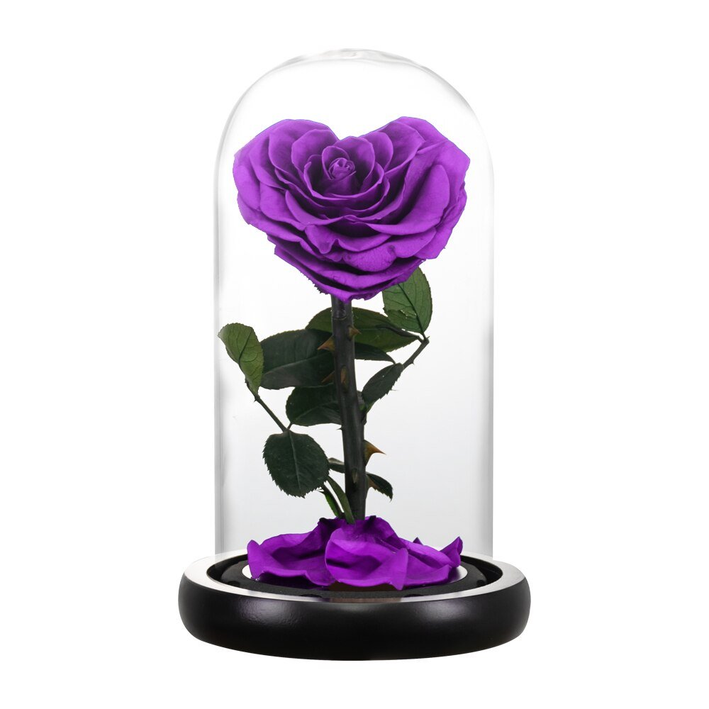 Eternal Rose Luxury Collection (Choice of Style)