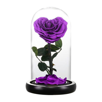 Eternal Rose Luxury Collection (Choice of Style)