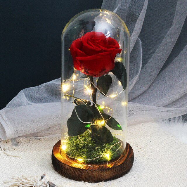 Eternal Rose Under Lighted Bell (Choice of Color) - Eternal Rose Store