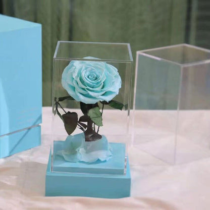 Eternal Rose Luxury Collection (Choice of Style)