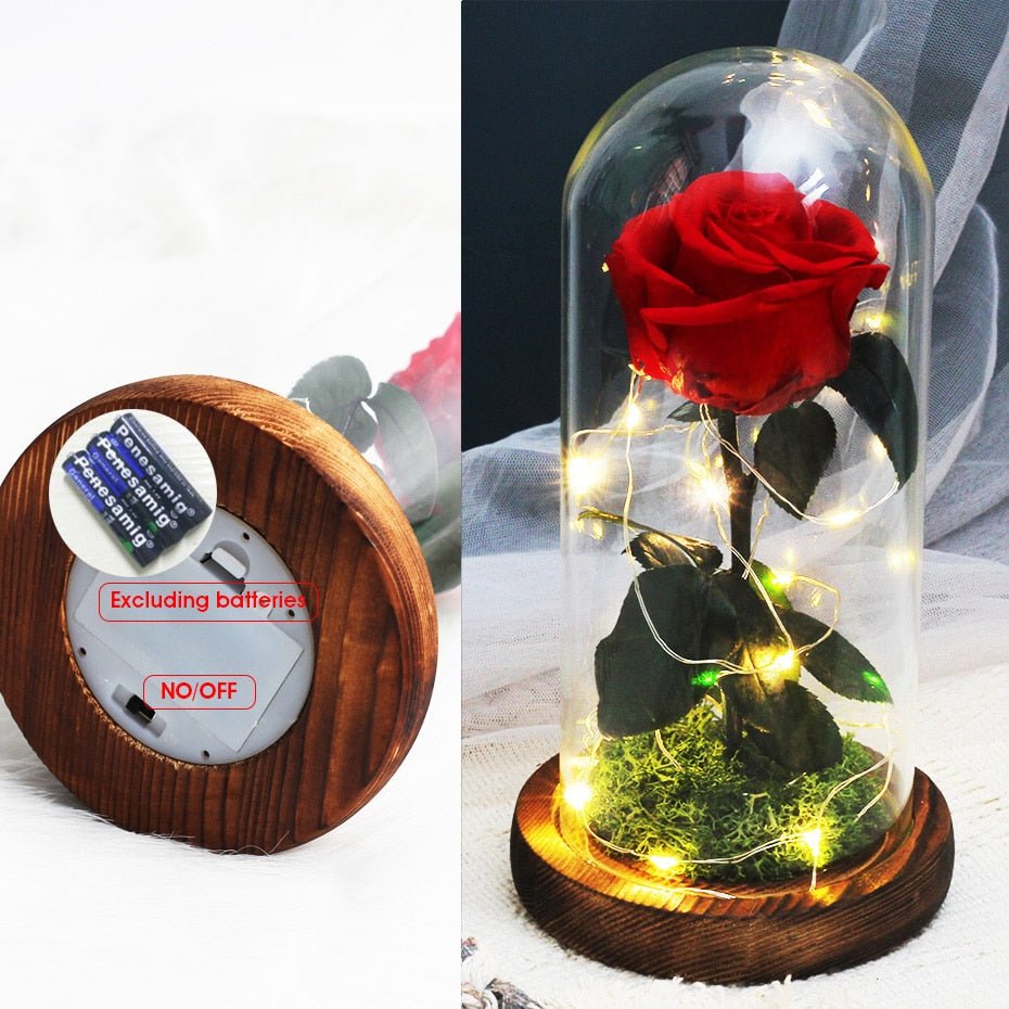 Eternal Rose Under Lighted Bell (Choice of Color) - Eternal Rose Store