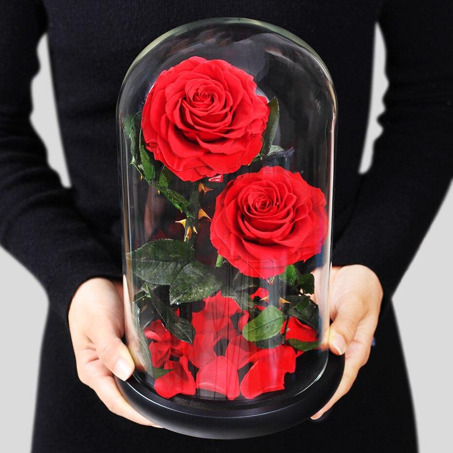 Eternal Roses Under Bell (Prenium) - Eternal Rose Store