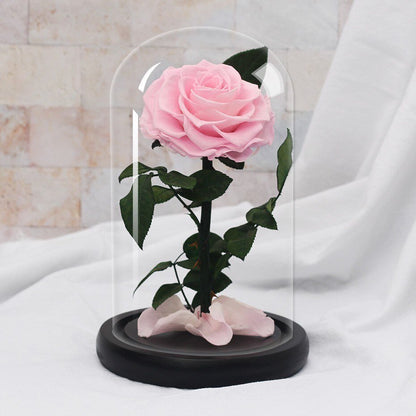 Supreme Eternal Rose (Choice of color) - Eternal Rose Store
