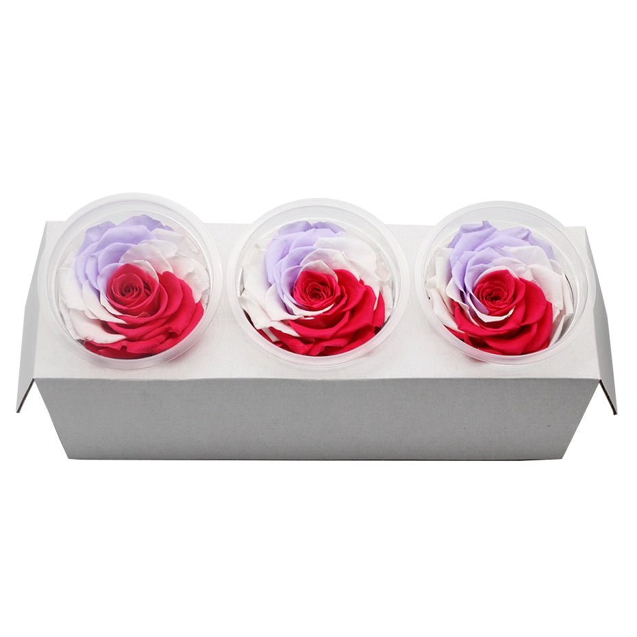 Eternal Roses Box Choice of Colors (Pack of 3) - Eternal Rose Store