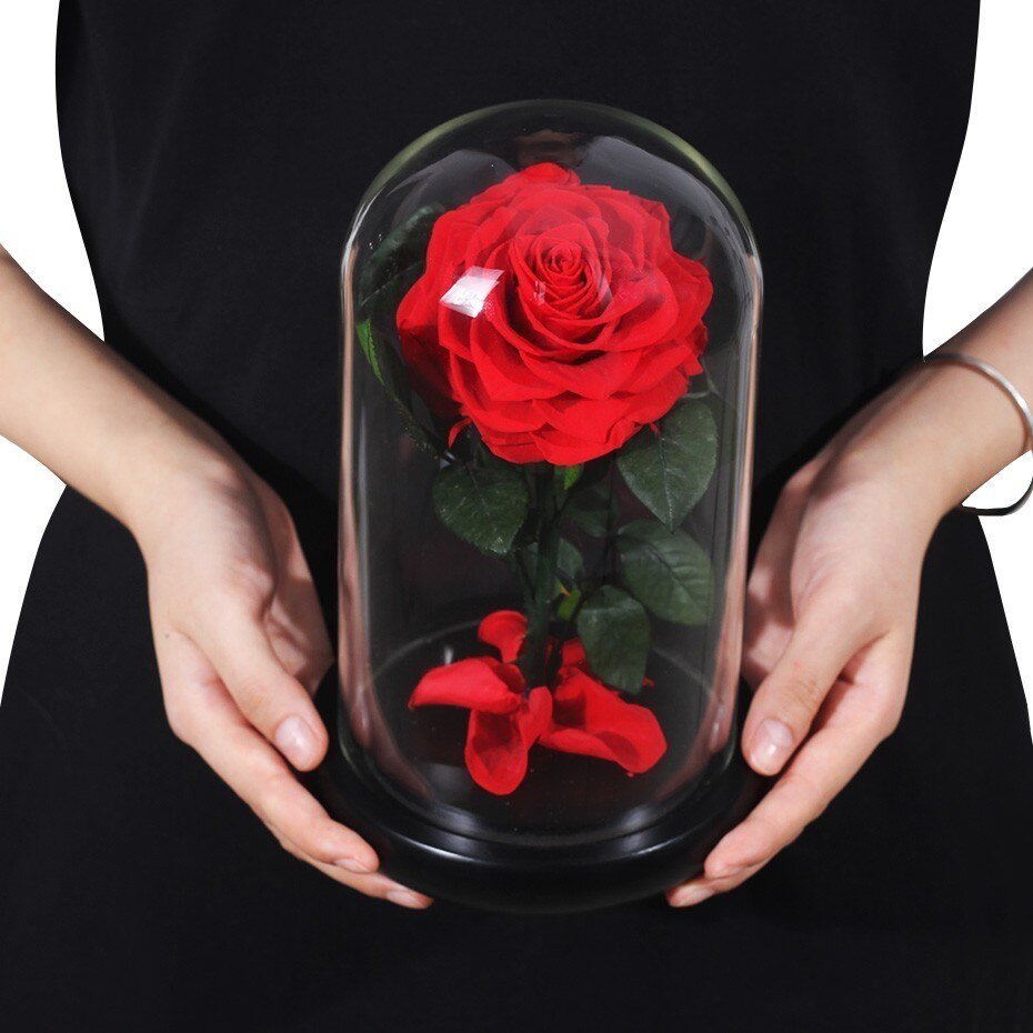 Supreme Eternal Rose Red - Eternal Rose Store