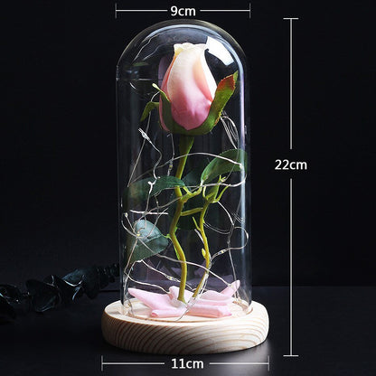 Blooming Eternal Rose (Choice of Colors) - Eternal Rose Store