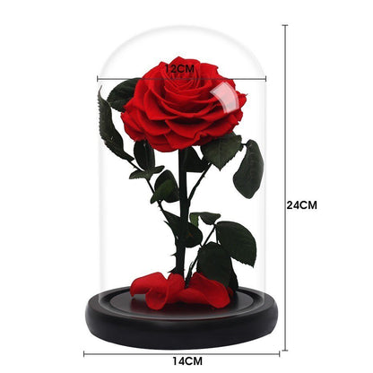 Supreme Eternal Rose Red - Eternal Rose Store
