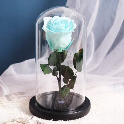 Multicolored Supreme Eternal Rose