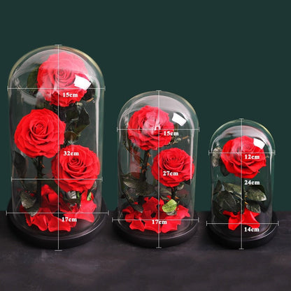 Multicolored Supreme Eternal Rose