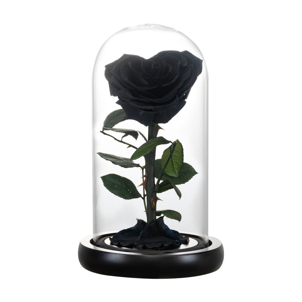 Eternal Rose Luxury Collection (Choice of Style)