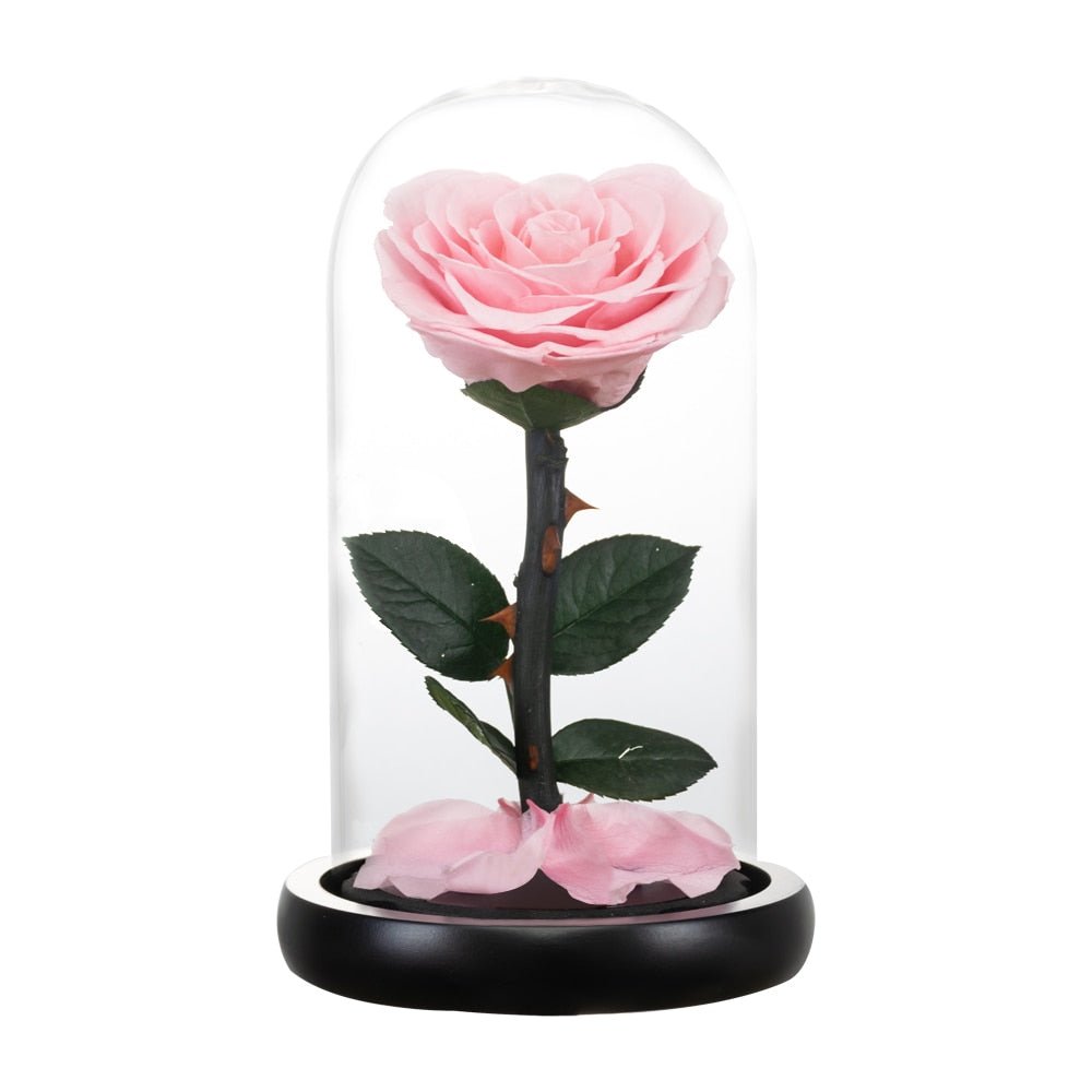 Eternal Rose Luxury Collection (Choice of Style)