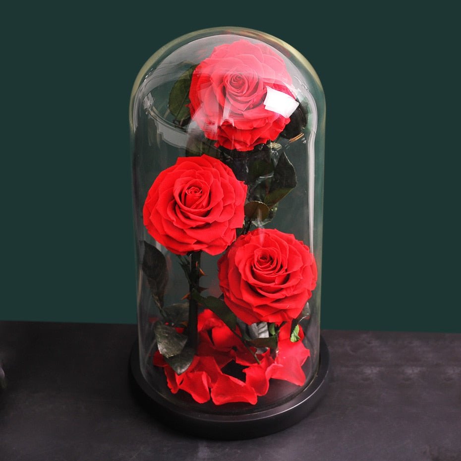 Multicolored Supreme Eternal Rose