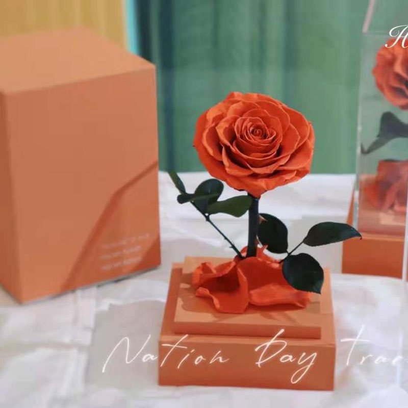 Eternal Rose Luxury Collection (Choice of Style)