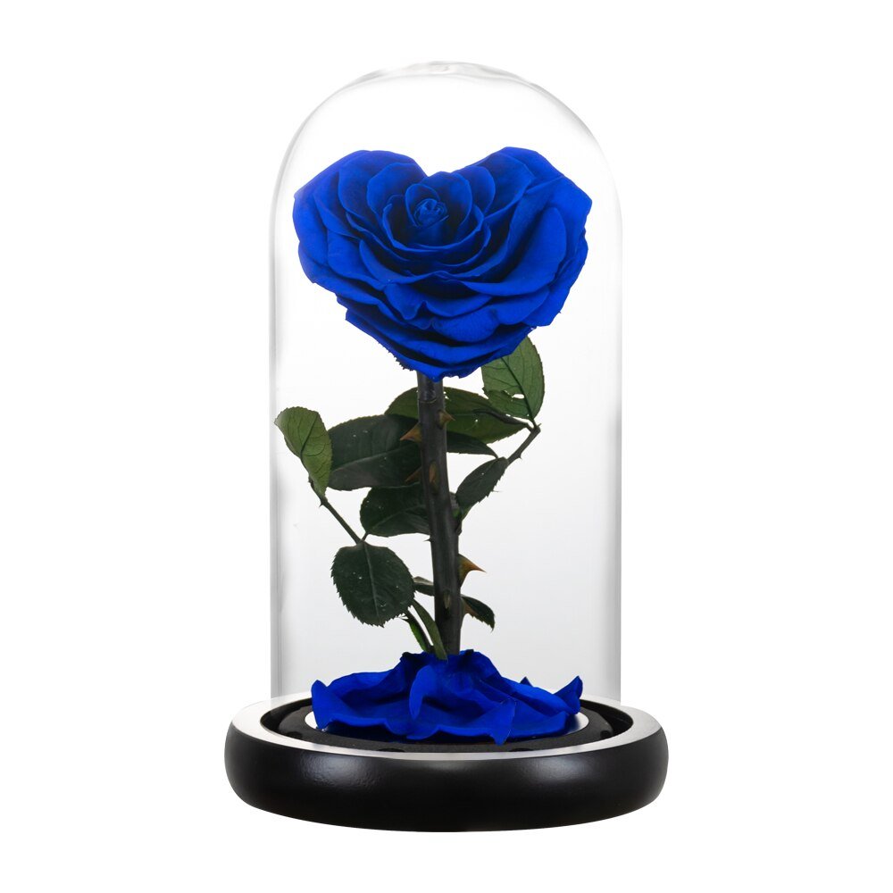 Eternal Rose Luxury Collection (Choice of Style)