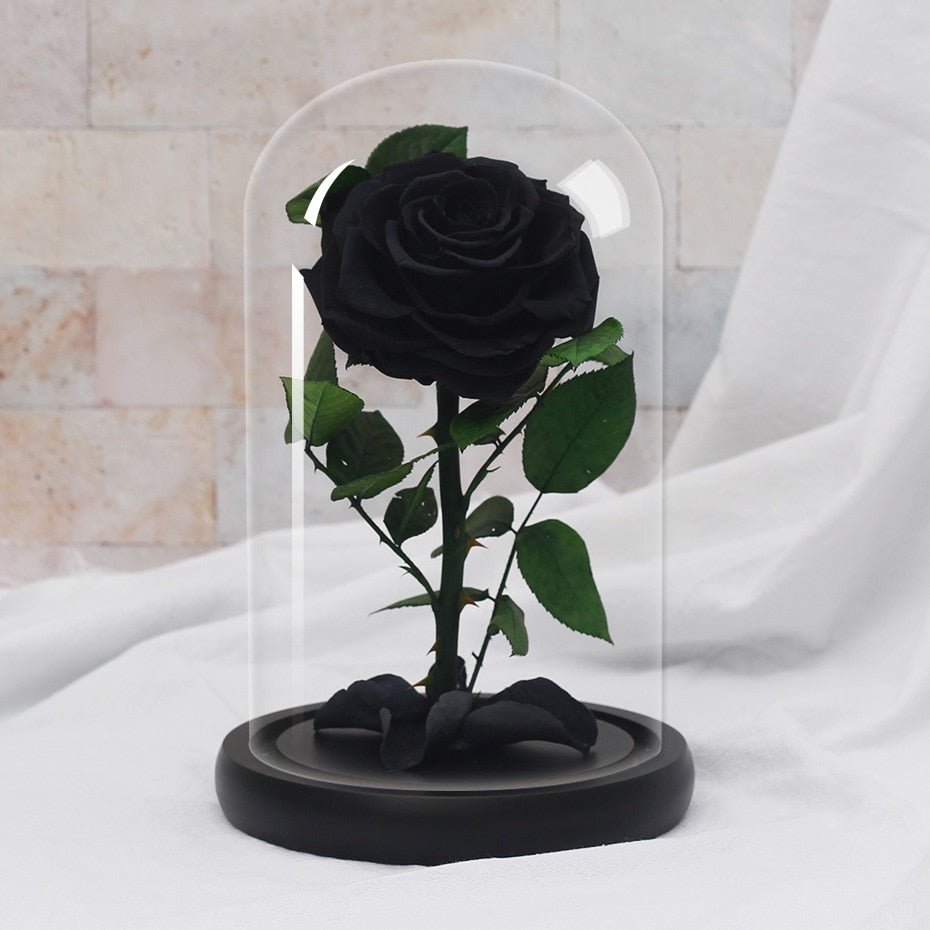 Multicolored Supreme Eternal Rose