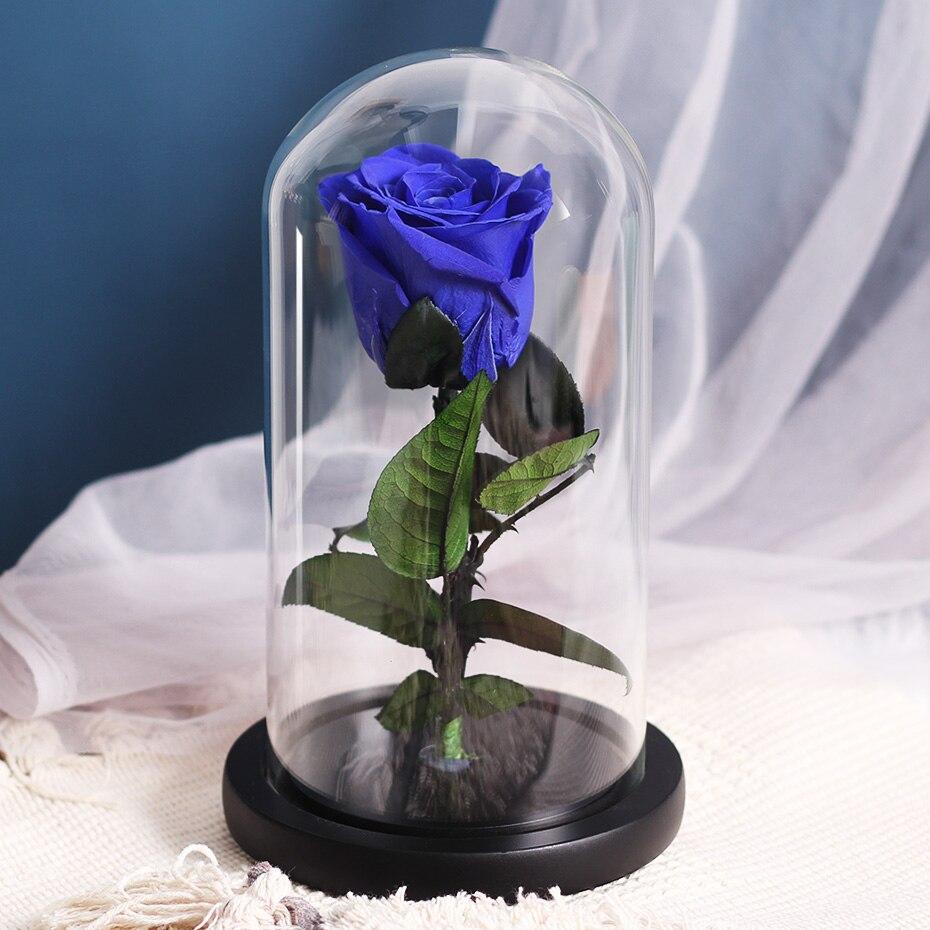 Eternal Roses Under Bell (Prenium) - Eternal Rose Store