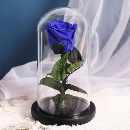 Eternal Roses Under Bell (Prenium) - Eternal Rose Store