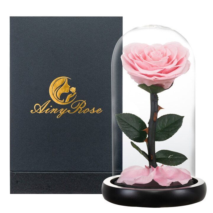 Eternal Rose Luxury Collection (Choice of Style)