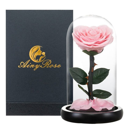 Eternal Rose Luxury Collection (Choice of Style)