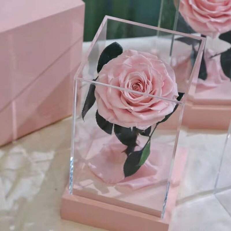 Eternal Rose Luxury Collection (Choice of Style)