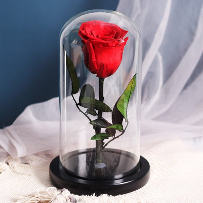 Multicolored Supreme Eternal Rose
